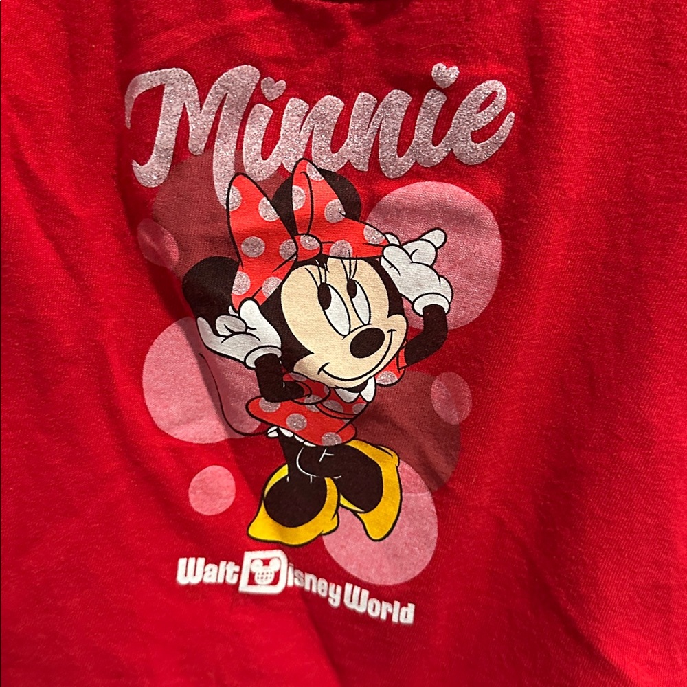18 M - Minnie Disney Shirt